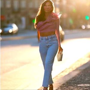 ZARA Bloggers Favorite ORGANZA CROP TOP